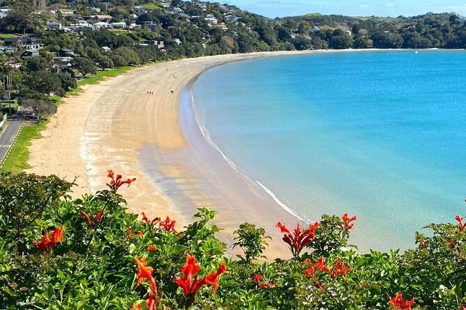 1.5h Waiheke Guided Scenic Tour in our Electric Van - Onetangi Beach and the white sand