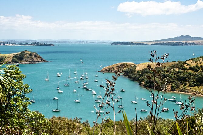 1.5h Waiheke Guided Scenic Tour in our Electric Van - What the guides add to a short route