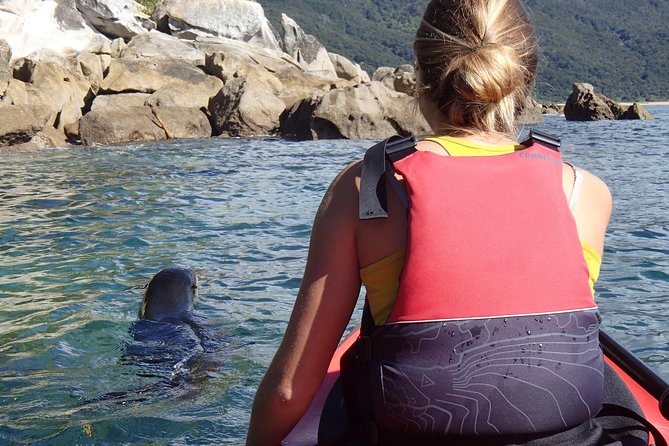 1 Day Sea Kayak Rental - Split Apple Rock and the golden-sand beaches