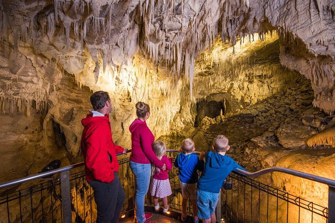 1-Hour Guided Tour of Aranui Cave Waitomo - Why Aranui Cave feels different from Waitomo’s better-known tours