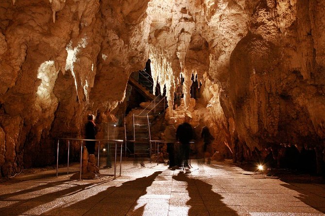 1-Hour Guided Tour of Aranui Cave Waitomo - How the one-hour format fits your day