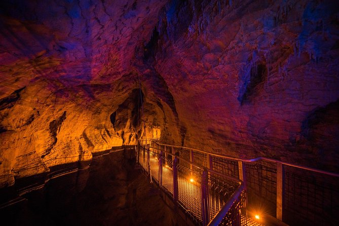 1-Hour Guided Tour of Aranui Cave Waitomo - The practical details that can make or break the visit