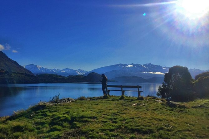 1-Hour Ruby Island Cruise and Walk - Crossing Lake Wanaka by catamaran