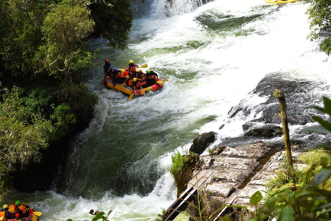 10 Day North to South Island NZ Private Tour from Auckland - Queenstown mixes gardens, thrills, and easy views