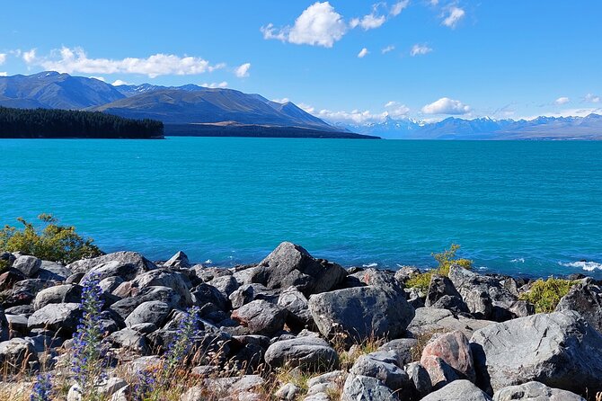 12 Day New Zealand Private Tour from Auckland to Queenstown - Arthur’s Pass and Tekapo deliver a packed scenic day