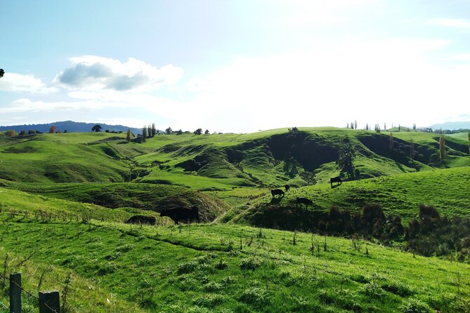 12 Day New Zealand Private Tour from Auckland to Queenstown - Queenstown mixes gardens, jet boating, and high views