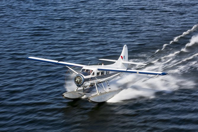 15-Minute Crater Lakes Flight by Floatplane from Rotorua - Taking off from Rotorua City Lakefront