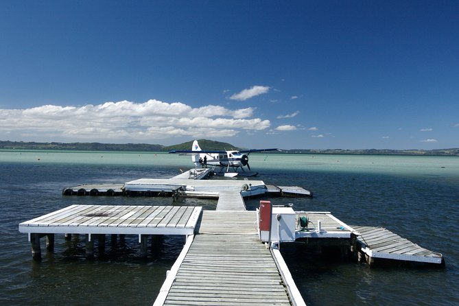 15-Minute Crater Lakes Flight by Floatplane from Rotorua - Returning over Whakarewarewa Forest and Sulphur Bay