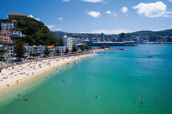15-Minute Wellington Harbour Helicopter Flight - Why Wellington Harbour works so well from the air