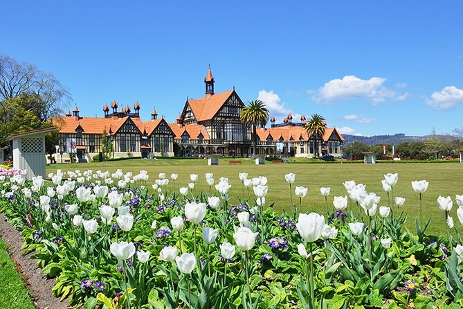 2 Day Tour Auckland to Hobbiton, Waitomo, Rotorua and Taupo - Waitomo Caves: New Zealand below ground