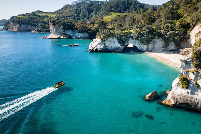 2 Hour Cathedral Cove and Volcanic Coast Cruise with Shade Canopy - At a glance