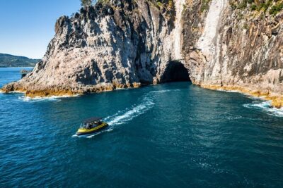 2 Hour Cathedral Cove and Volcanic Coast Cruise with Shade Canopy