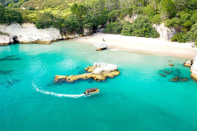 2 Hour Cathedral Cove and Volcanic Coast Cruise with Shade Canopy - What the guides add