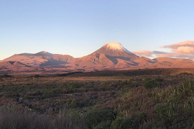2 Hour Pre Sunset Guided Group Walk - Is NZD123.65 a fair price?