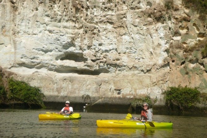 2-Hour Waikato River Guided Kayak Trip from Taupo - Who will enjoy this kayak trip most?