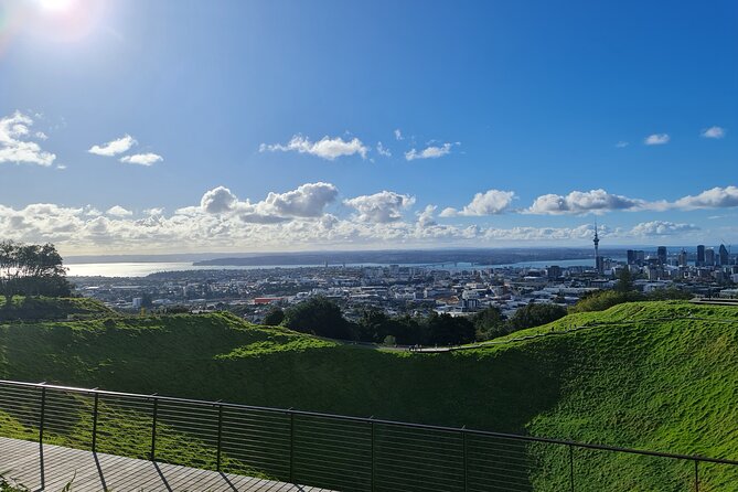 2025 Award Winning: Auckland City Highlights Half Day Tour - Small groups and the guide make the difference