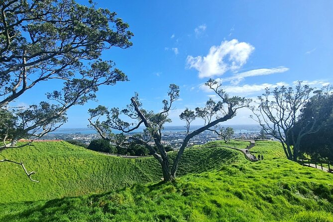 2025 Award Winning: Auckland City Highlights Half Day Tour - Timing, pickup, and what to bring