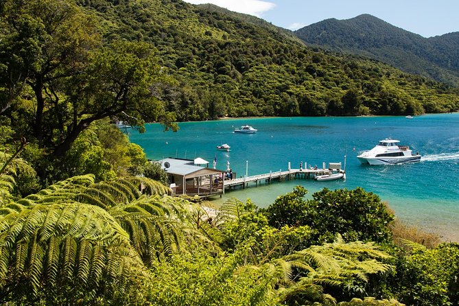 3.5 Hour Marlborough Sounds Delivery Cruise - Why this cruise shows you the real Marlborough Sounds