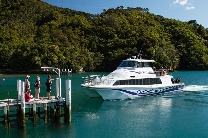3.5 Hour Marlborough Sounds Delivery Cruise - Seeing the Queen Charlotte Track from the water