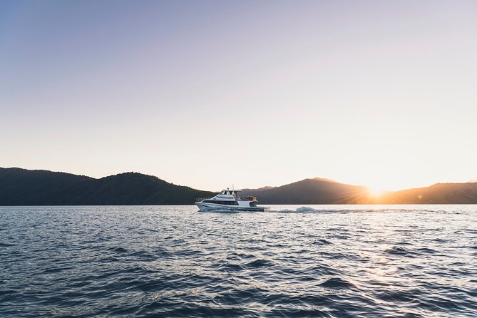 3.5 Hour Marlborough Sounds Delivery Cruise - Commentary, local stories, and the skipper’s role