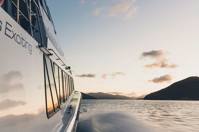 3.5 Hour Marlborough Sounds Delivery Cruise - Is $68.26 good value?