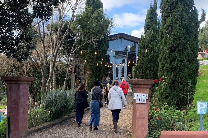 3.5 hour Sunset Tour on Waiheke Island - What the guides add to the drive