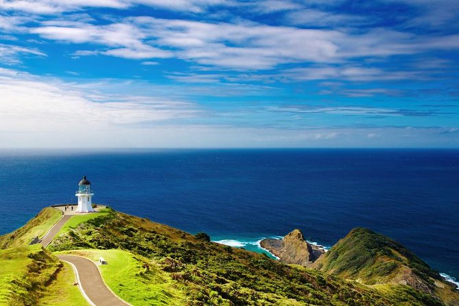 3-Day Bay of Islands Tour from Auckland - What this three-day Northland trip really covers