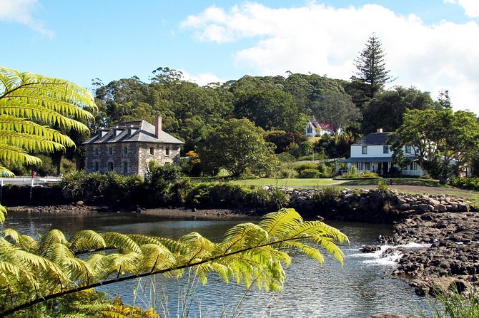 3-Day Bay of Islands Tour from Auckland - Day 2: kauri trees, sand, and the long road to Cape Reinga