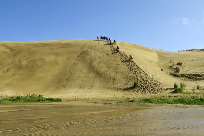 3 Day Bay Of Islands Tour from Auckland including Waitangi and Cape Reinga - Guided visits, independent time and the invisible hand