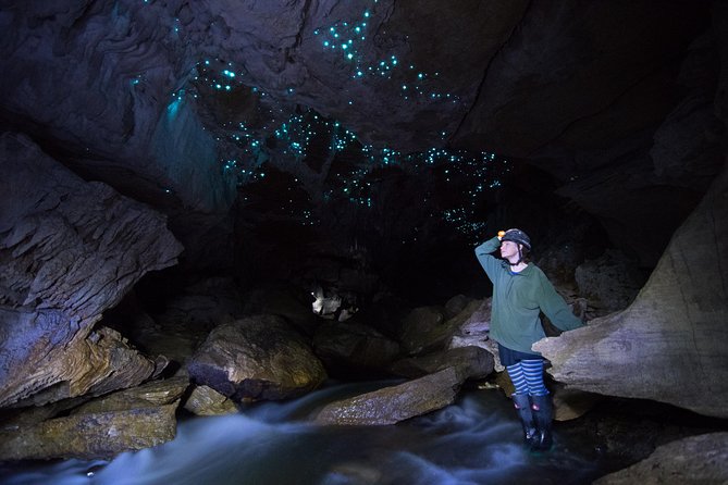 3-Hour Private Photography Tour in Waitomo Caves - What the three hours are really used for