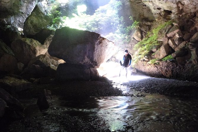 3-Hour Private Photography Tour in Waitomo Caves - Practical details that can affect your day