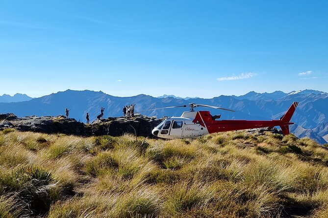 30-Minute Alpine Scenic Flight from Queenstown - Skippers Canyon and the alpine landing