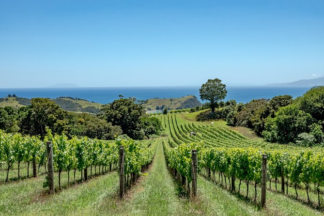 4.5-Hour Scenic Wine Tour with Private Guide & Up to 12 Tastings - The return through Blackpool and Piritahi Marae