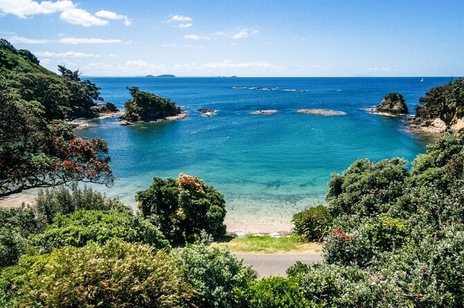 4.5-Hour Scenic Wine Tour with Private Guide & Up to 12 Tastings - Meeting your guide at Matiatia Wharf