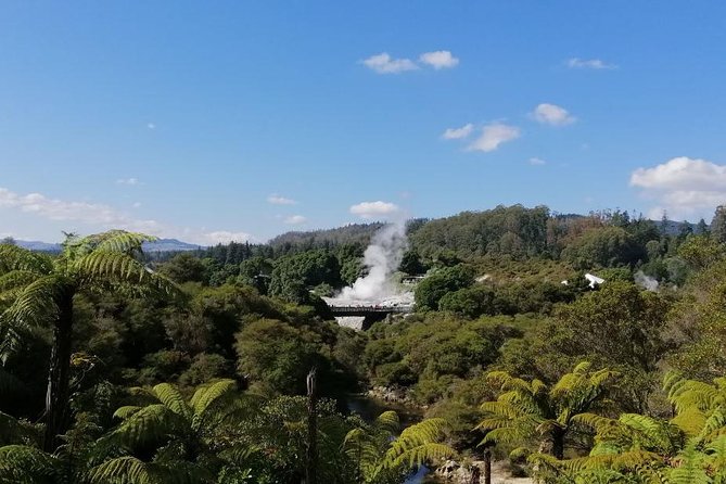 4-Day Auckland to Wellington via Rotorua Tour - Why the first day works so well