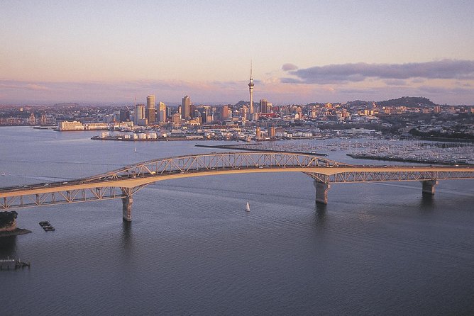 4-Day Auckland to Wellington via Rotorua Tour - Choosing your Rotorua hotel and free afternoon