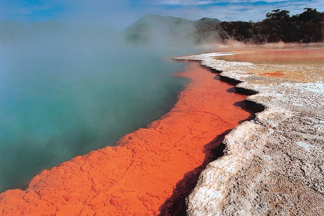 4-Day Auckland to Wellington via Rotorua Tour - Day 3 is the price of crossing the island