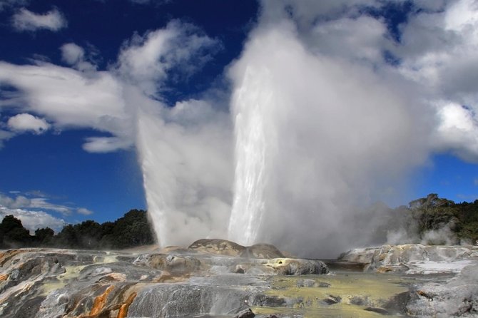 4-Day Auckland to Wellington via Rotorua Tour - Who will enjoy this four-day route?