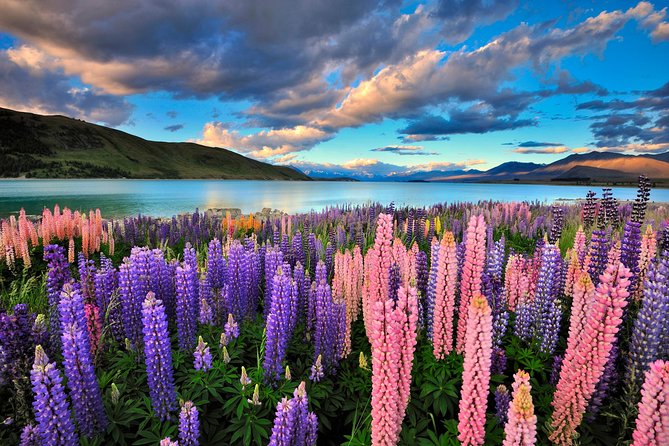 4-Day Great Southern Island Circle Tour from Christchurch - A South Island sampler built around big scenery