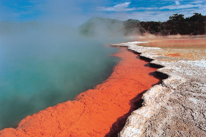 4-Day Wellington to Auckland via Rotorua Tour - Key points at a glance