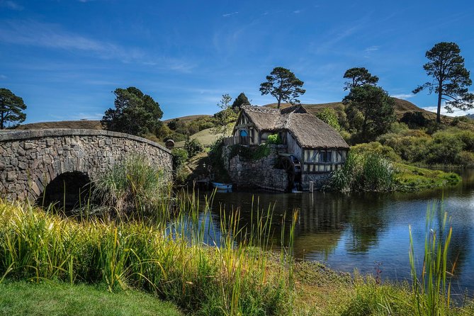 4-Day Wellington to Auckland via Rotorua Tour - Day 4: Auckland sightseeing before the finish
