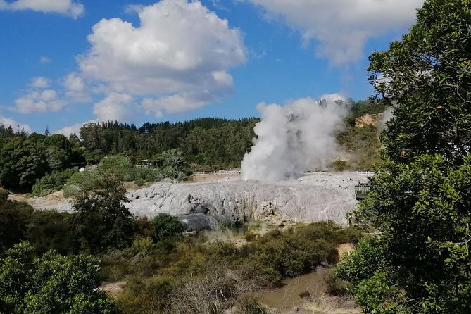4-Day Wellington to Auckland via Rotorua Tour - Is $921.55 good value?