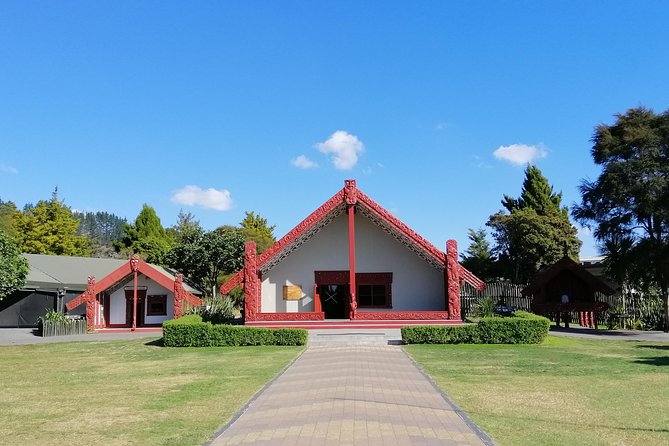 4-Day Wellington to Auckland via Rotorua Tour - Who should book this tour?