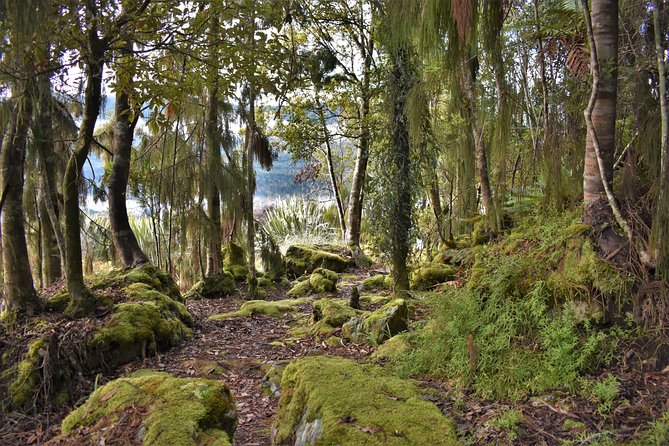 4-hour Lake Mapourika Kayak and Hike adventure, with Okarito Kiwi Sanctuary - The real value at $104.88