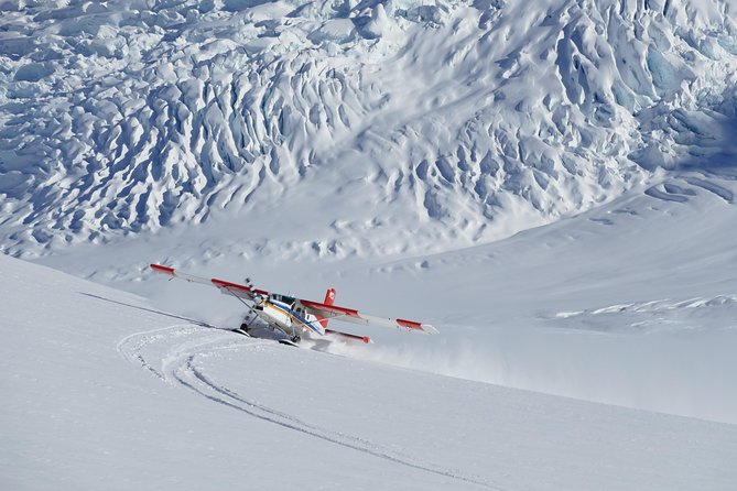 45-Minute Glacier Highlights Ski Plane Tour from Mount Cook - Standing on New Zealand’s largest glacier
