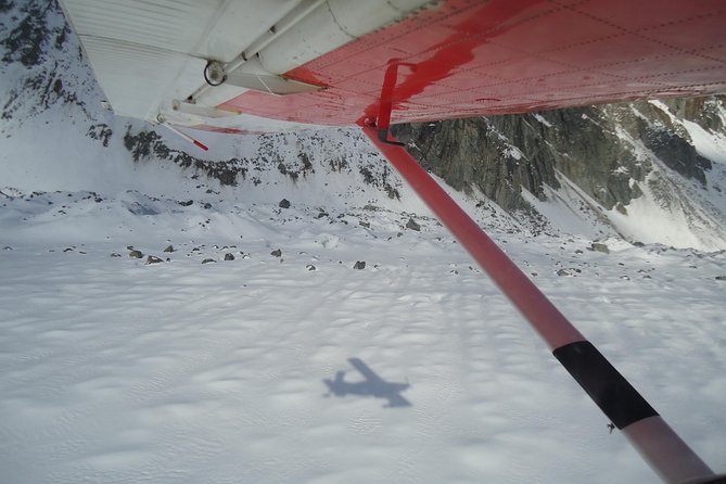 45-Minute Glacier Highlights Ski Plane Tour from Mount Cook - Who will get the most from this ski plane tour?