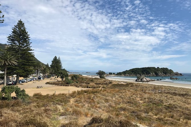 4hr Tauranga Scenic History and Tasting Tour FREE Kiwifruit Tasting - Mount Maunganui: seaside views with a local backstory