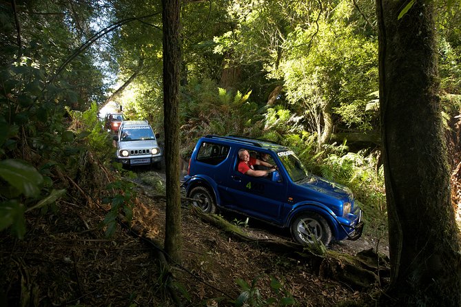 4WD Bush Safari at Off Road NZ - Key points to know before you book