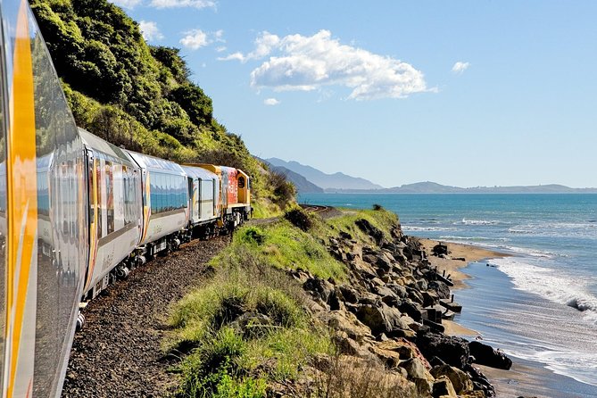 5-Day New Zealand North and South Island Highlights Tour - Day 3: Lake Taupo, a long coach ride, and Wellington