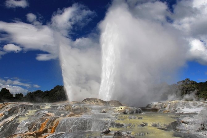 5-Day New Zealand North and South Island Highlights Tour - Is $1,364.64 a fair price?
